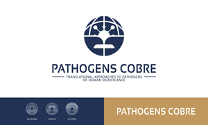 Logo Design by Rosiana Design for this project | Design: #37153395