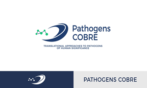 Logo Design by Rosiana Design for this project | Design: #37153396