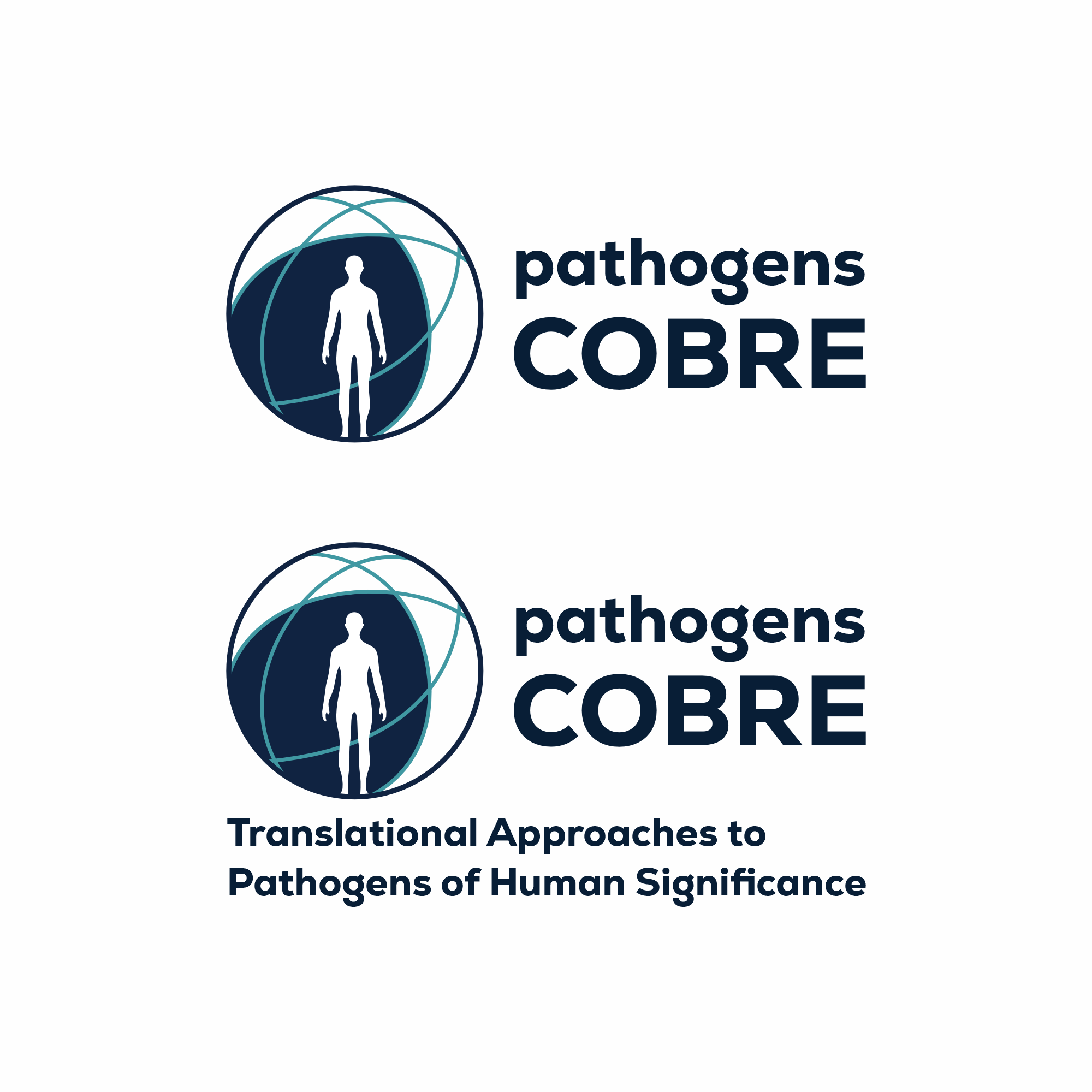 Logo Design by saher khan 2 for this project | Design #37164689