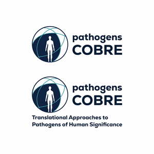 Logo Design by saher khan 2 for this project | Design: #37164689