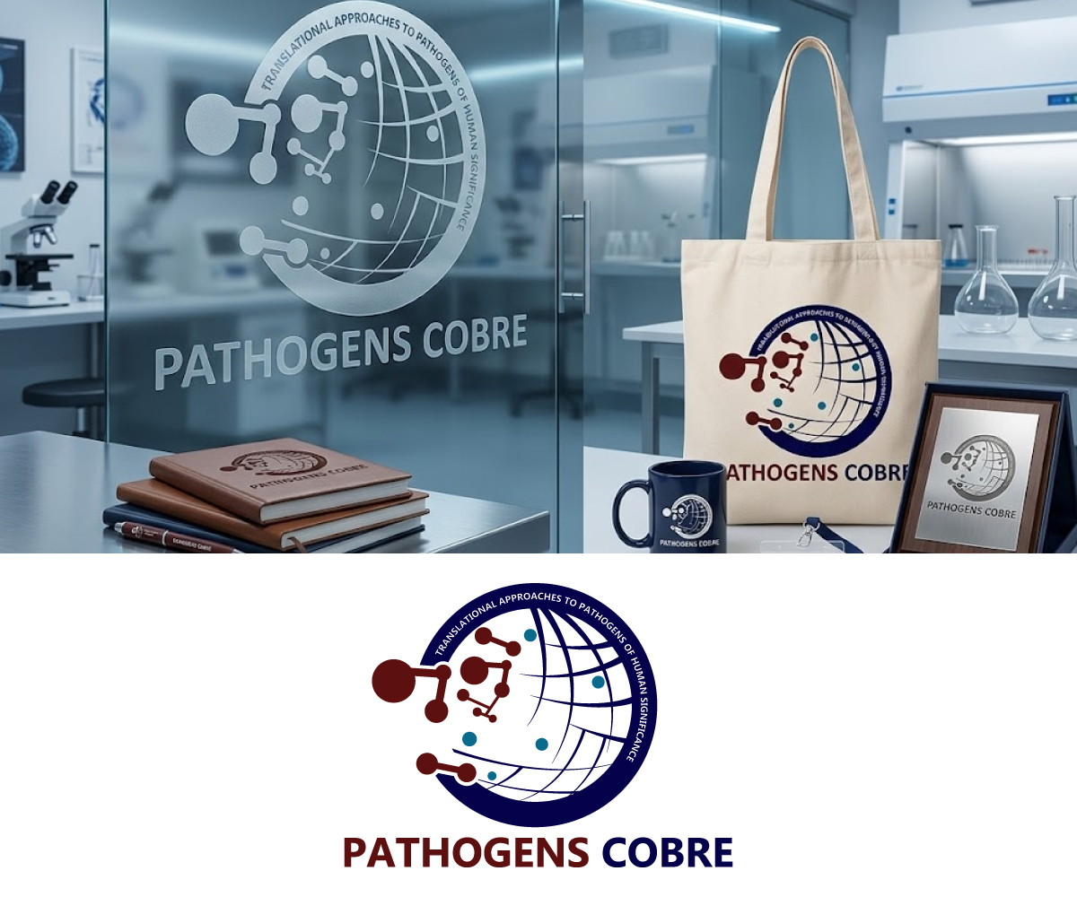 Logo Design by Ansh Design for this project | Design #37124343