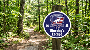 Graphic Design by JK18 for this project | Design: #37126000