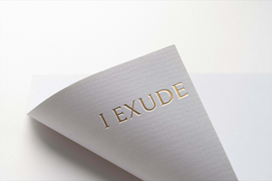 Logo Design by RobloxPro for this project | Design: #37132172