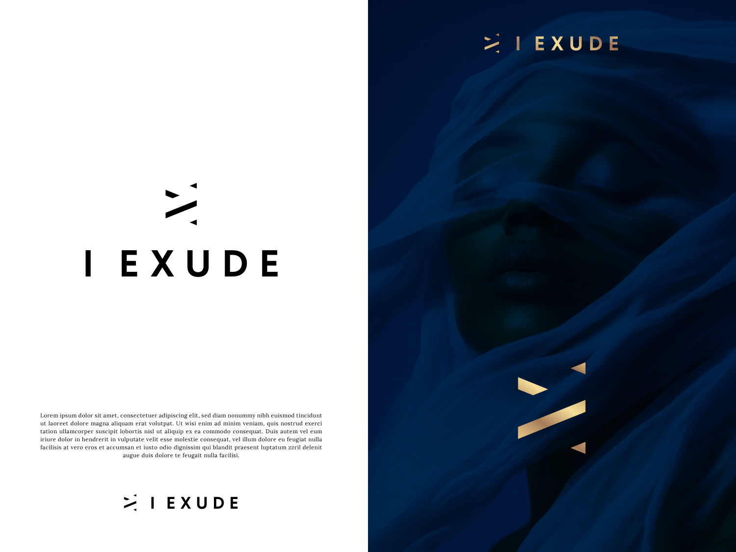 Logo Design by raphis for this project | Design #37134174