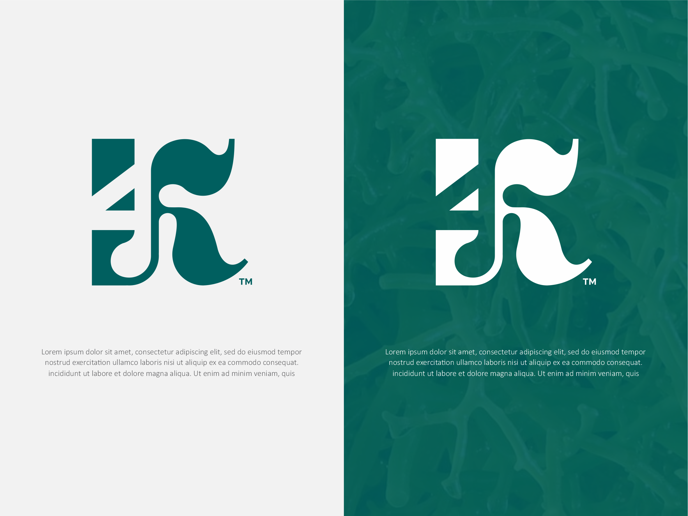 Logo Design by sabina aiko for 4Kelp | Design #37161864