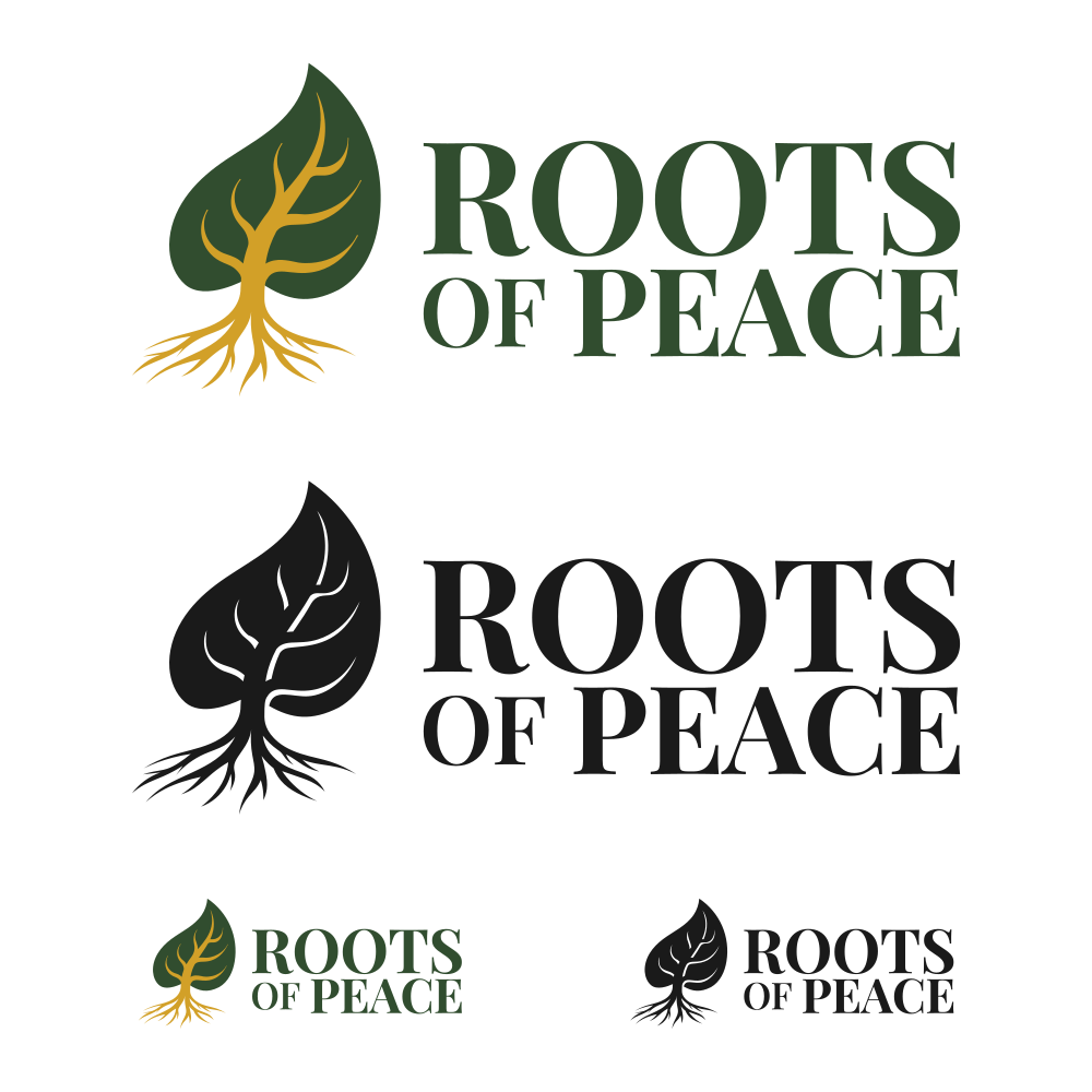 Logo Design by candov.ha1 for this project | Design #37184387