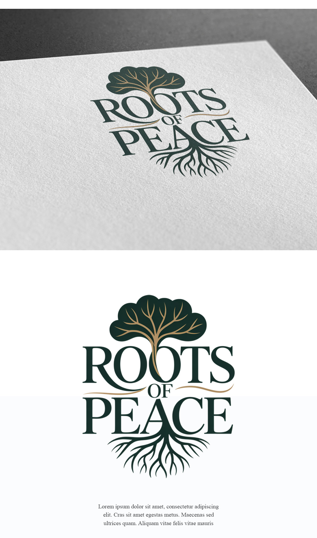 Logo Design by Design92 for this project | Design #37187456