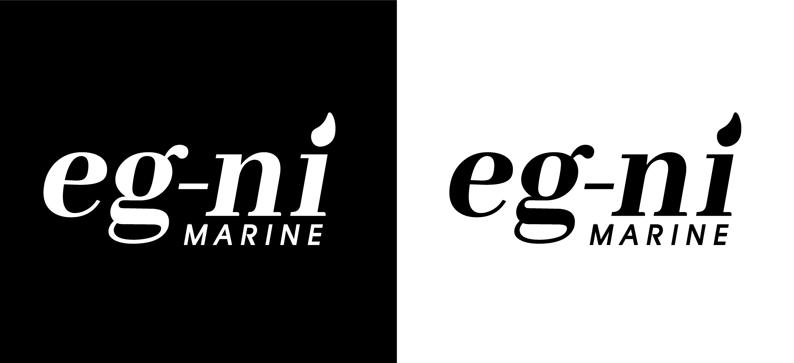 Logo Design by Fez Creatives for this project | Design #37182543