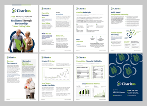Flyer Design by Graphic Guy for Charitus | Design: #37245257