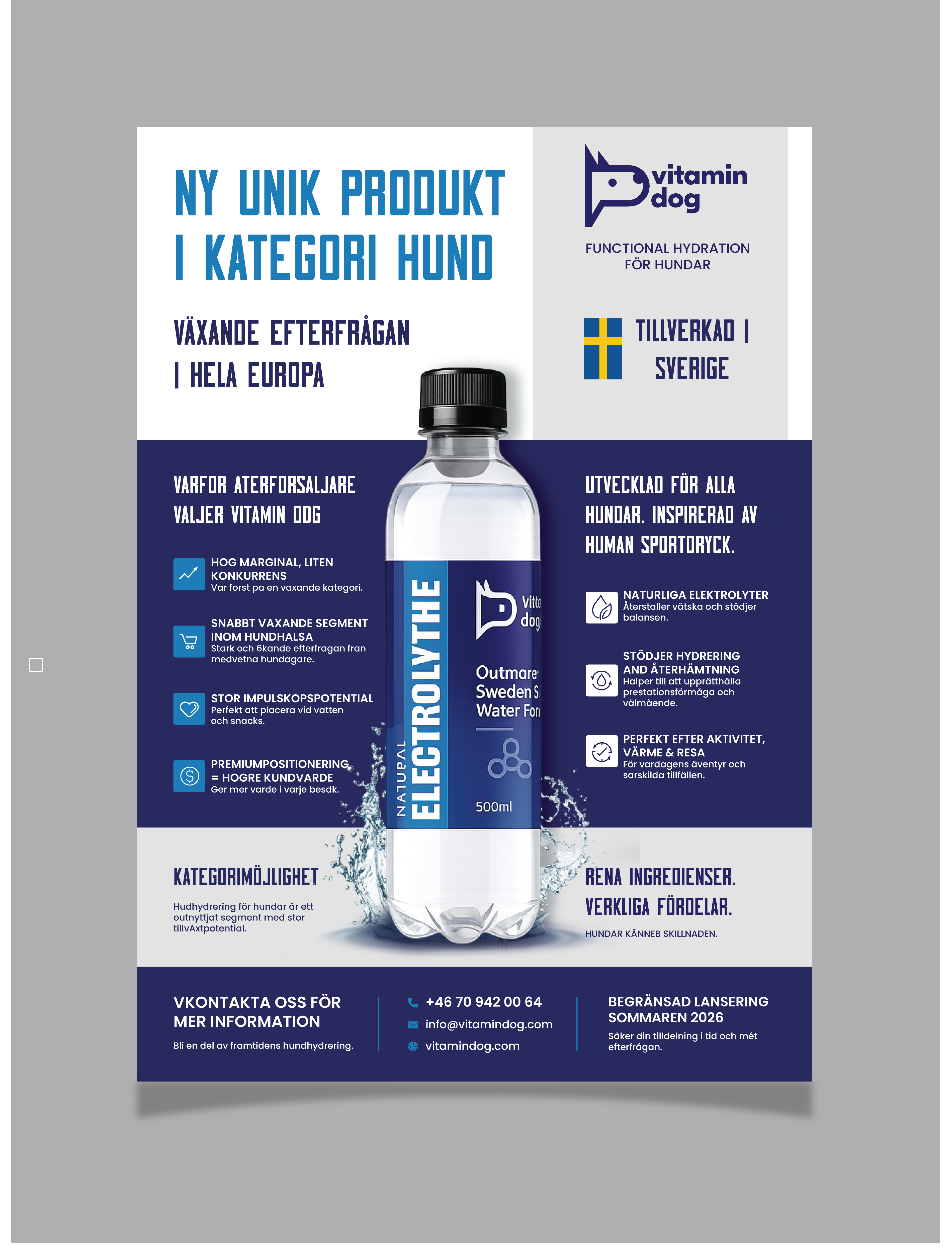 Diseño de Flyer por saurov para este proyecto | Diseño #37165813