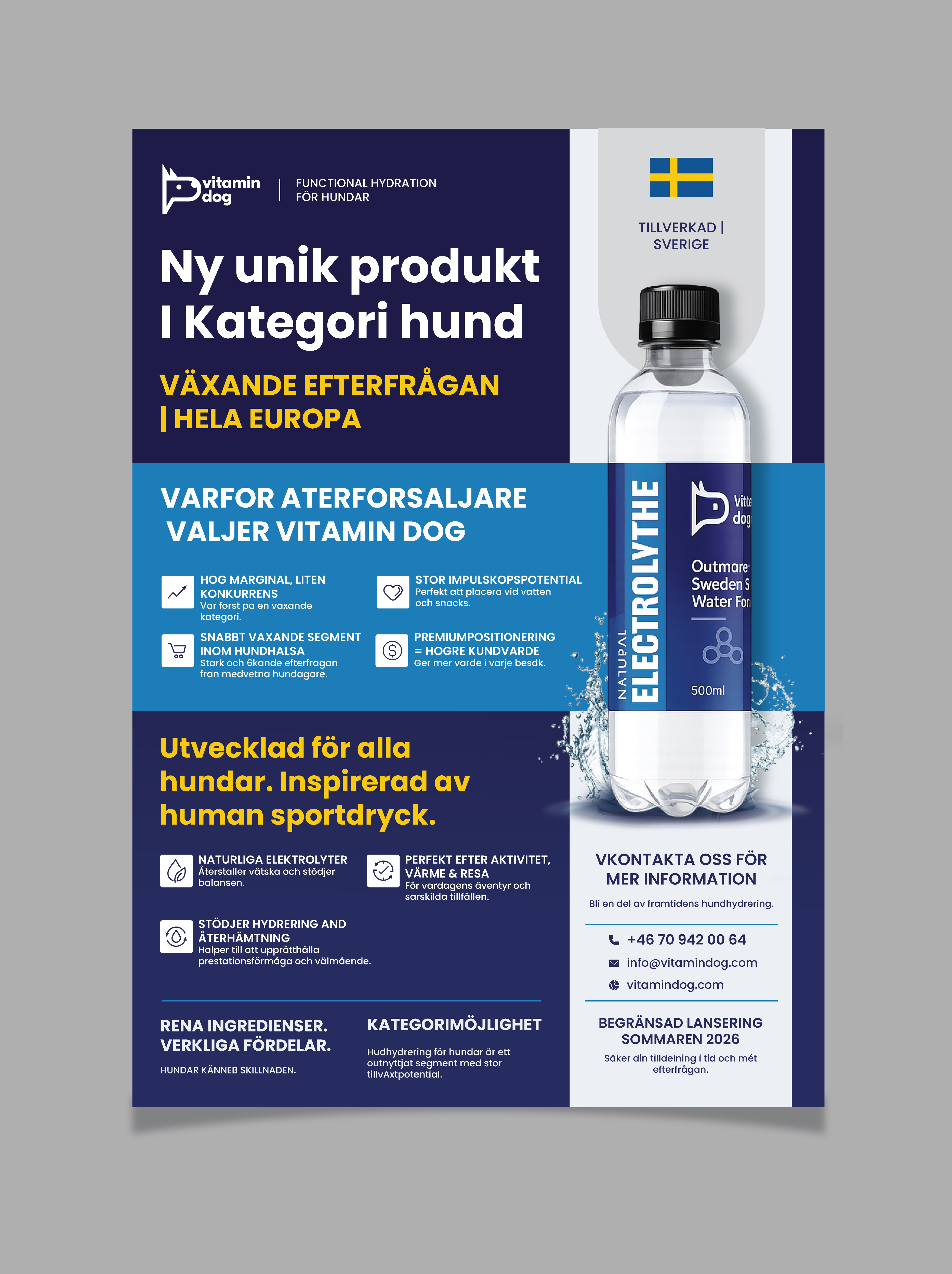 Diseño de Flyer por saurov para este proyecto | Diseño #37166612