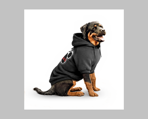 Graphic Design by Navisol Creatives