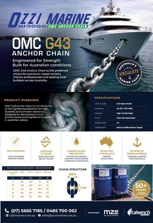 Flyer Design by Vertikus for this project | Design: #37180639