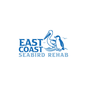 Logo Design by hellodesigneralamin for this project | Design: #37187816