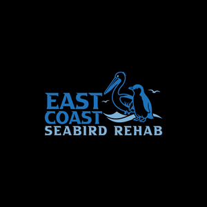 Logo Design by hellodesigneralamin for this project | Design: #37187817
