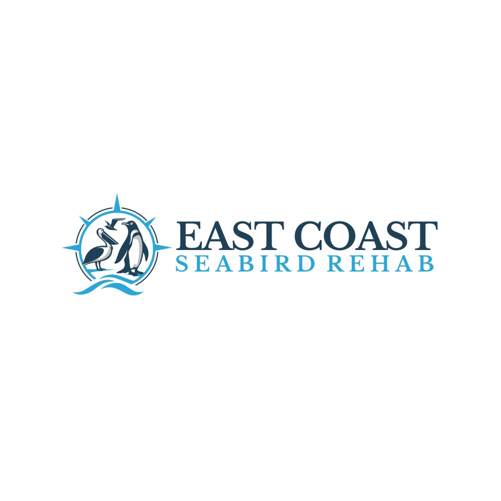 Logo Design by rgb01 for this project | Design #37209565