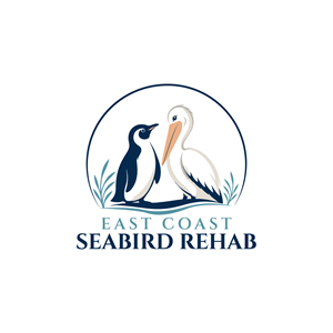 Logo Design by AHNAF_S for this project | Design: #37208293