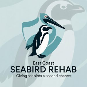 Logo Design by S@LM@™ for this project | Design: #37210982