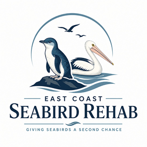 Logo Design by DesignAspects for this project | Design: #37212420