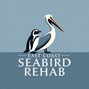 Logo Design by milan12 2 for this project | Design: #37210985