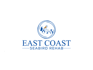 Logo Design by RobloxPro for this project | Design: #37189377