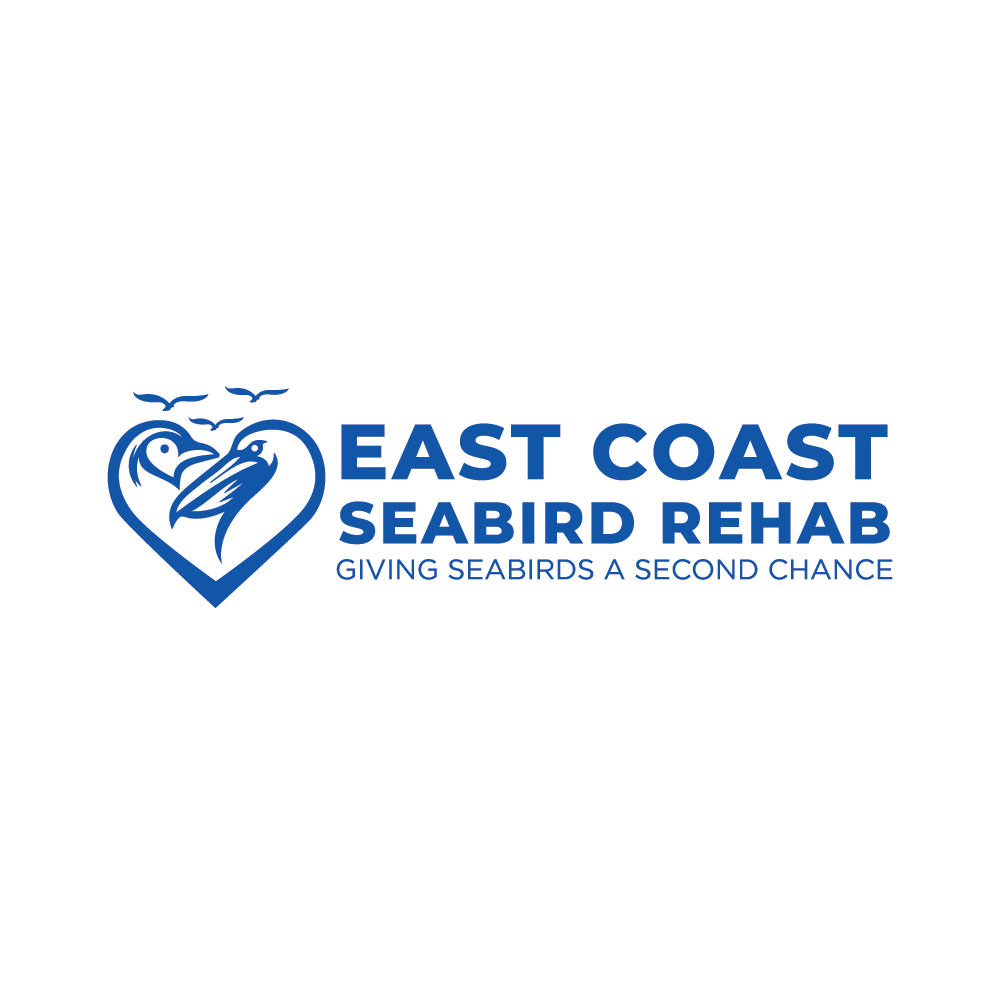 Logo Design by ClevrLab.Studio for this project | Design #37183939