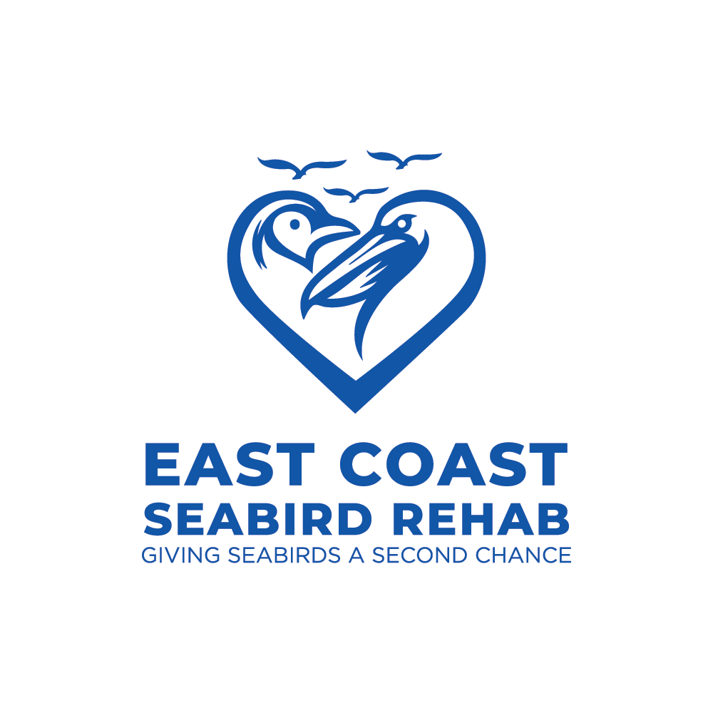 Logo Design by ClevrLab.Studio for this project | Design #37186293