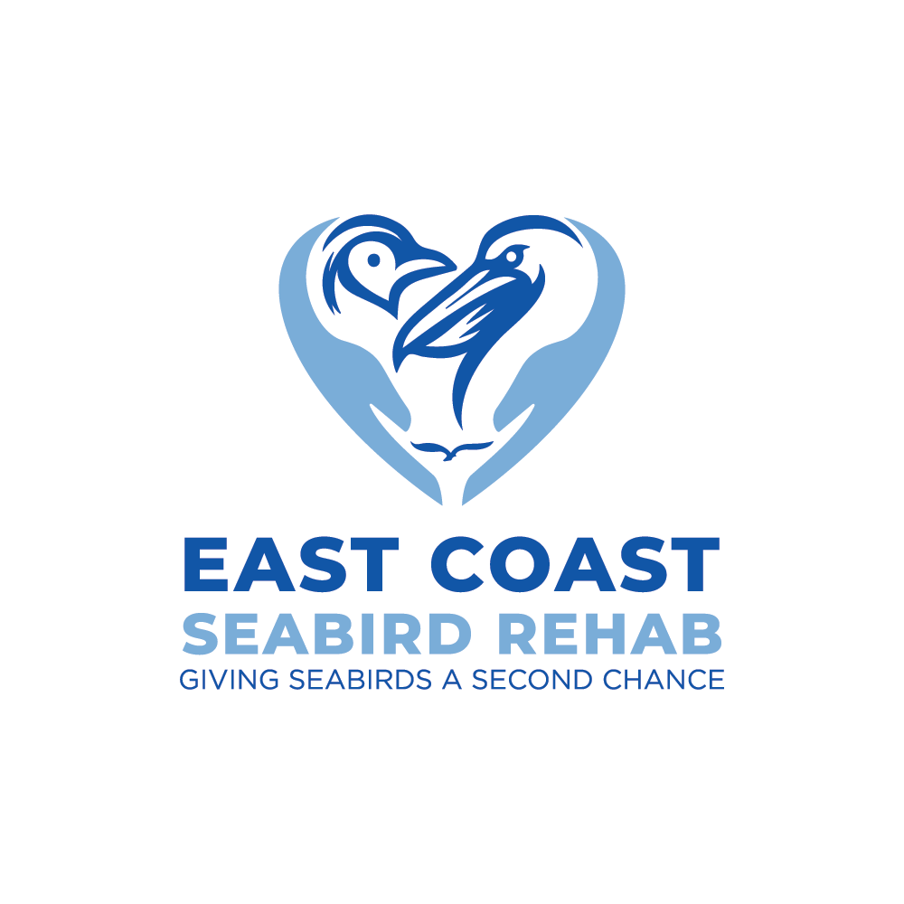 Logo Design by ClevrLab.Studio for this project | Design #37186389