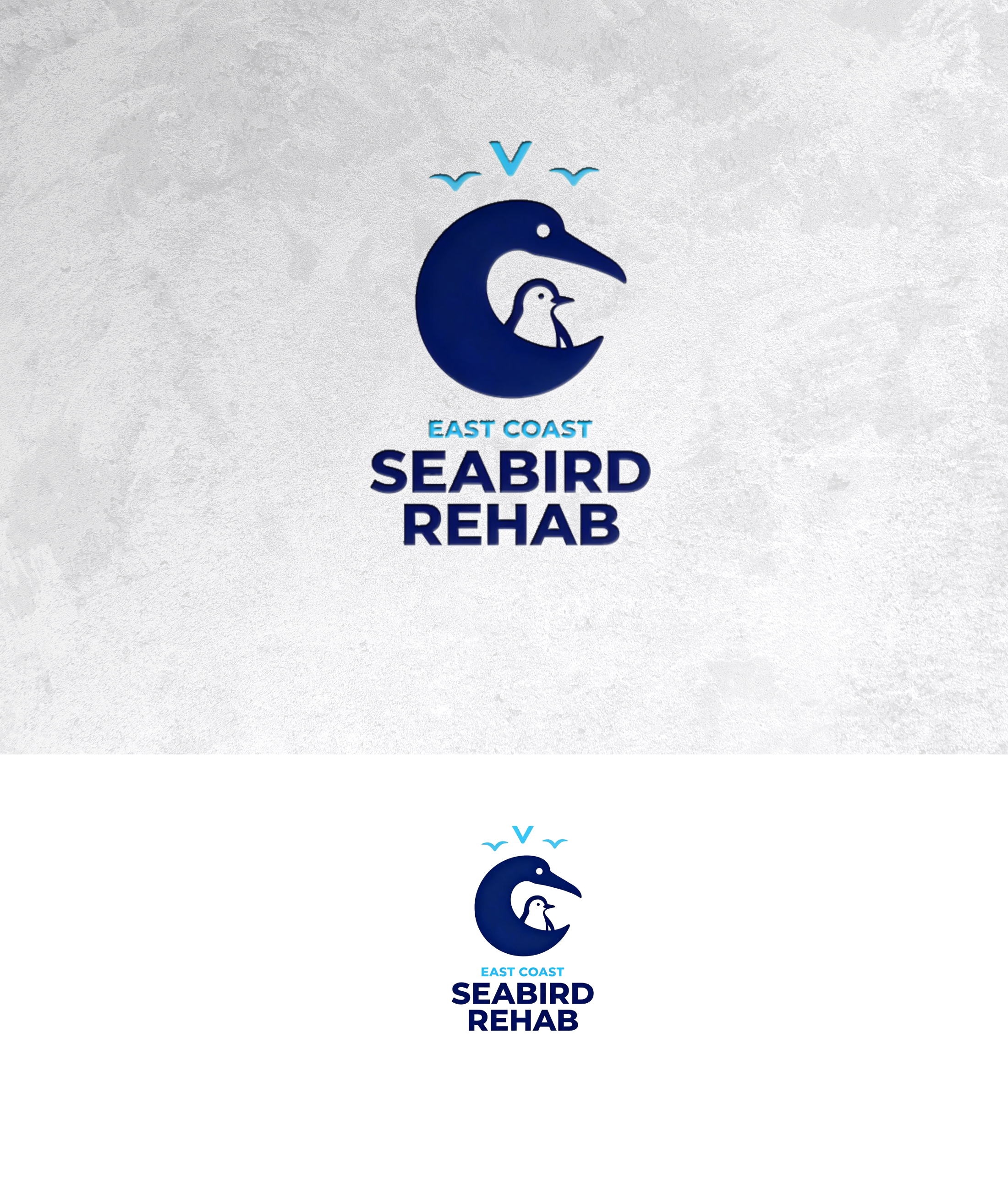 Logo Design by sonu.CR for this project | Design #37200521