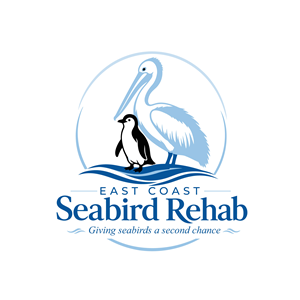 Logo Design by Zeemal25