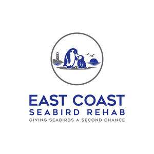Logo Design by Mst lovely ??