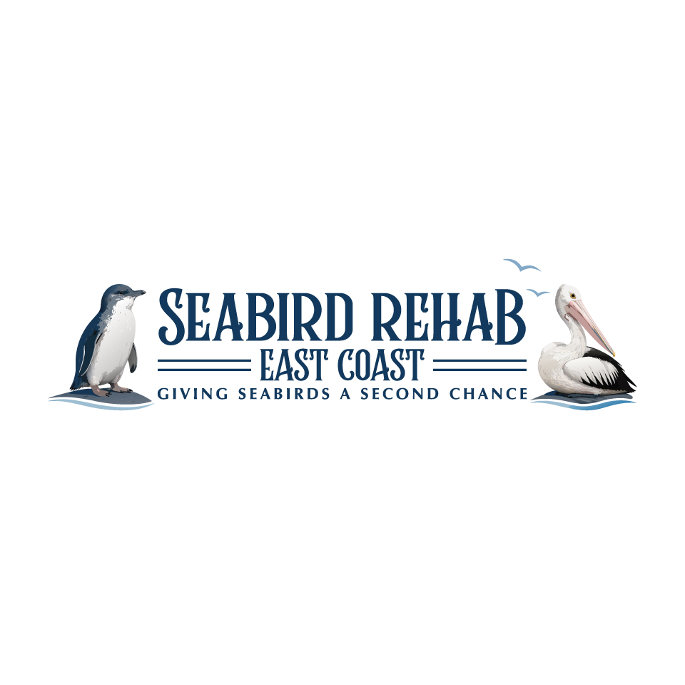 Logo Design by Team13 for this project | Design #37190771