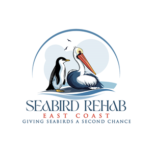 Logo Design by Team13 for this project | Design: #37190775