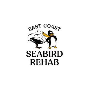 Logo Design by victipedia for this project | Design: #37188976