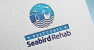 Diseño de Logo por graphics1 para este proyecto | Diseño: #37210688