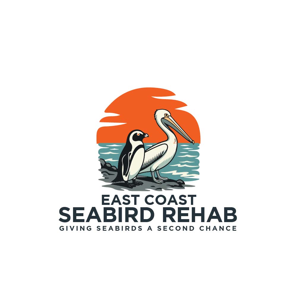 Logo Design by success logo for this project | Design #37189270