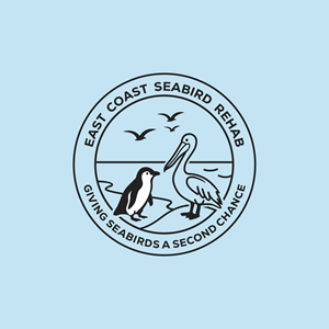 Diseño de Logo por saher khan 2 para este proyecto | Diseño: #37181696