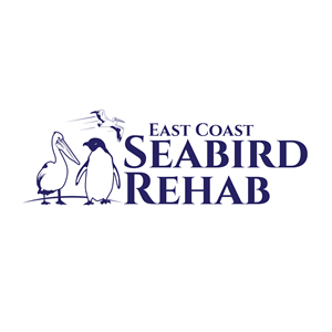 Logo Design by geni for this project | Design #37202757