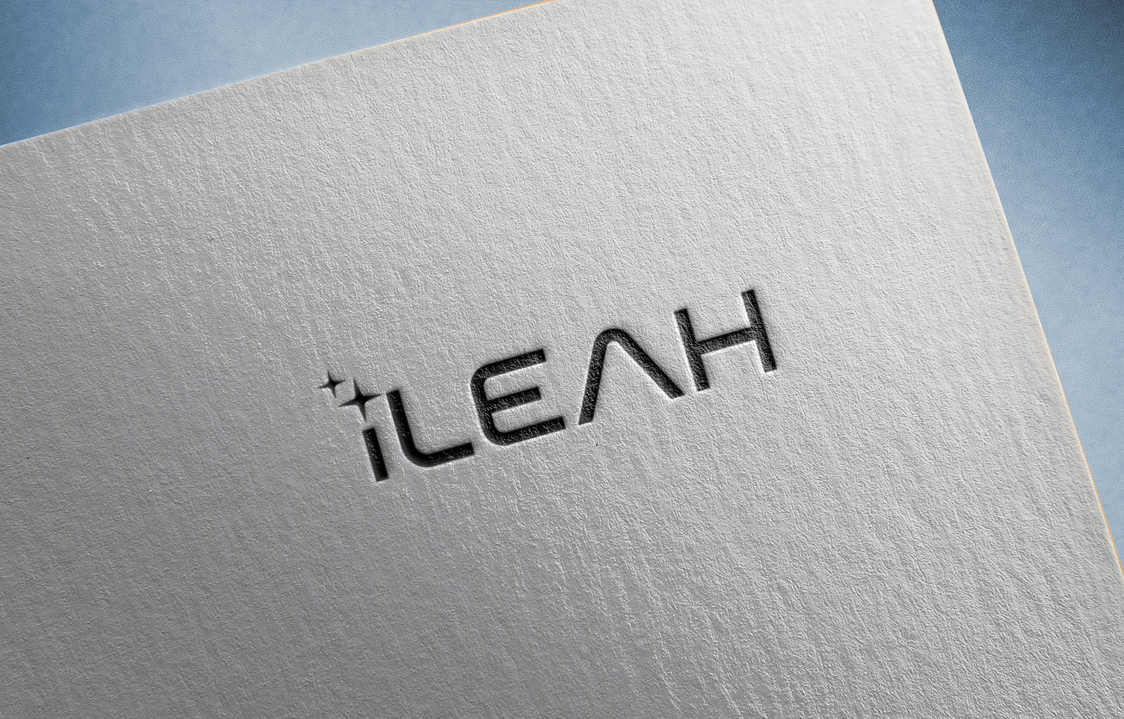 Logo Design by omahsegoro for AIGAGA LTD | Design #37218087