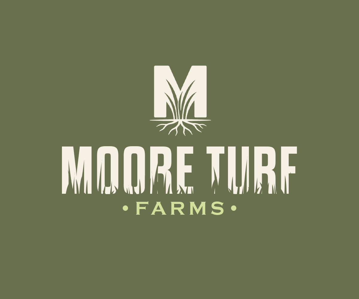 Logo Design by Andrés Sebastián for this project | Design #37208730