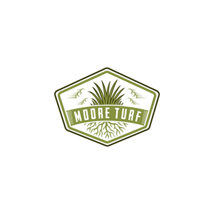 Logo Design by Krold IT Solutions for this project | Design: #37205421