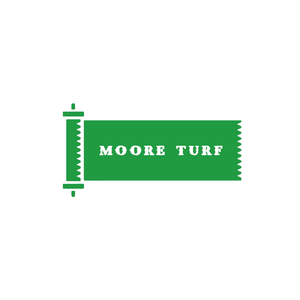 Logo Design by Taha Ahmed for this project | Design #37199318