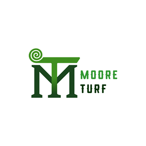 Logo Design by Taha Ahmed for this project | Design: #37200144