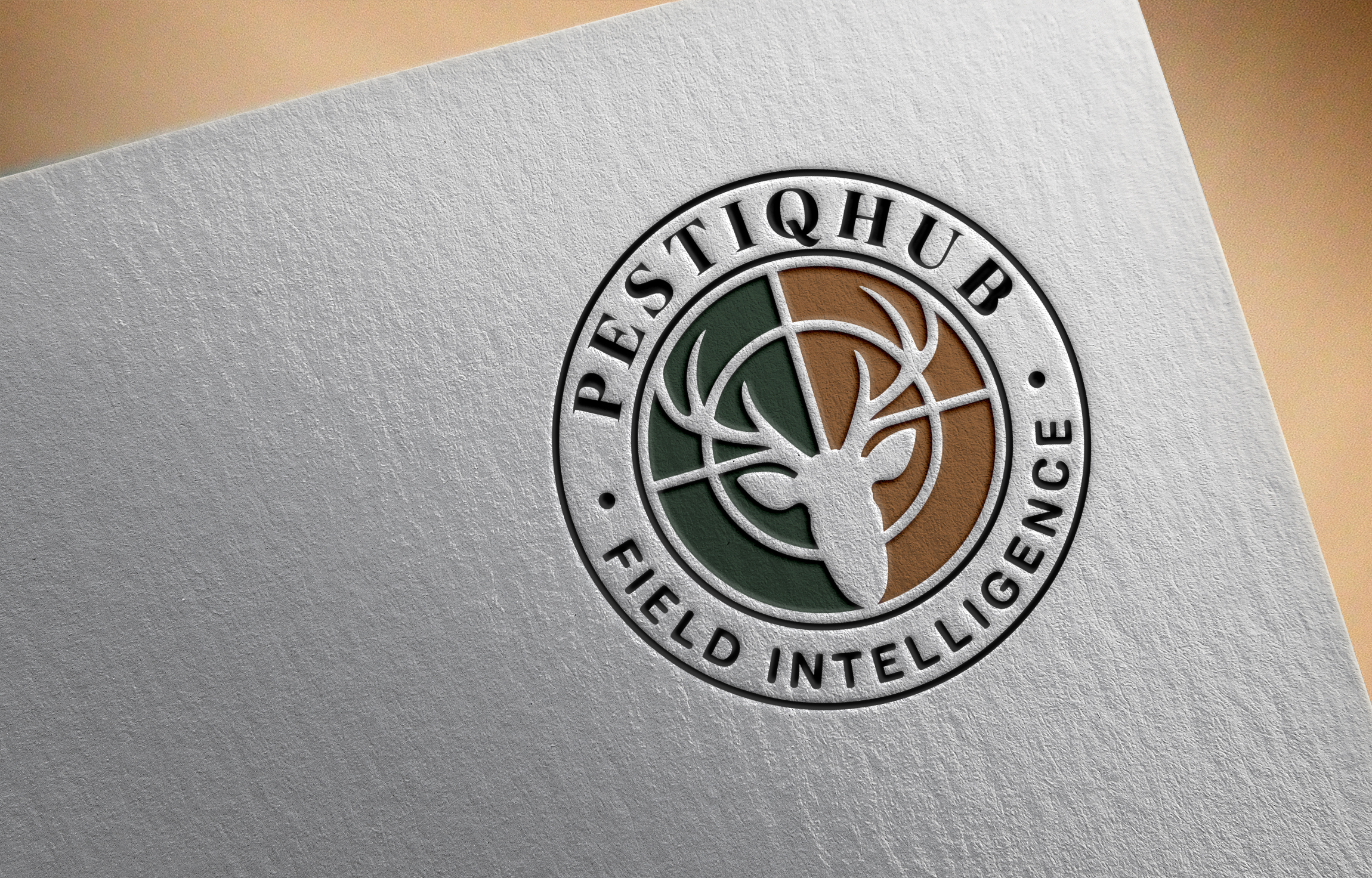 Logo Design by Robi-The Child for LifeQuest Limited | Design #37203114