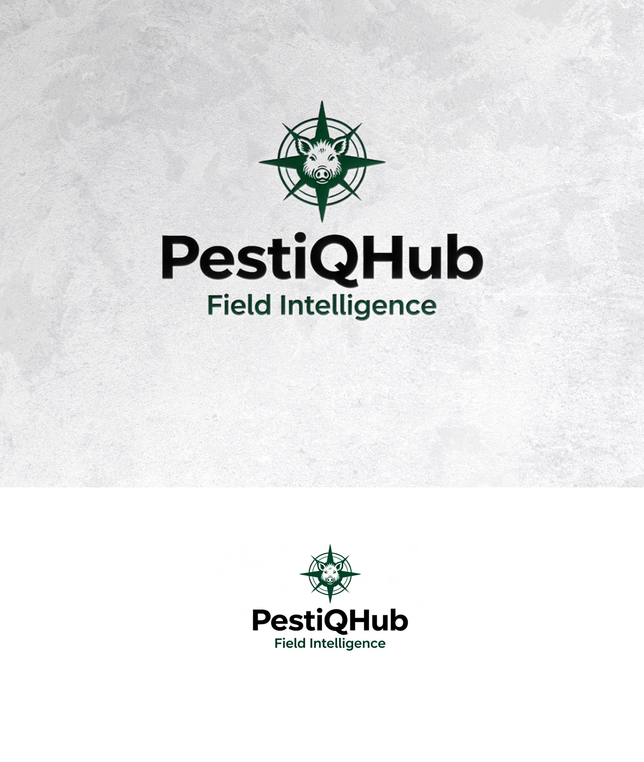 Logo Design by sonu.CR for LifeQuest Limited | Design #37210890