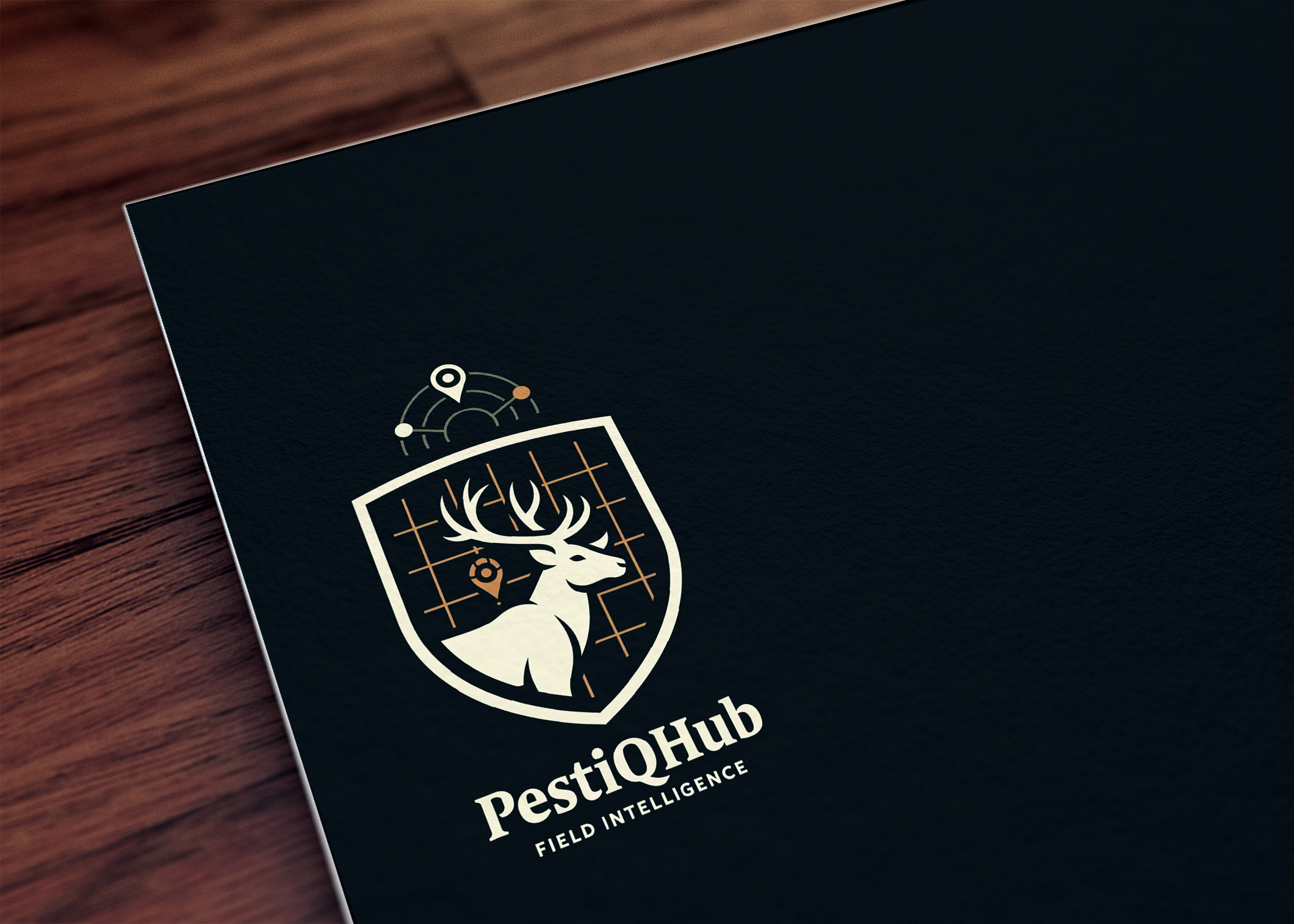 Logo Design by DC2502 for LifeQuest Limited | Design #37206400