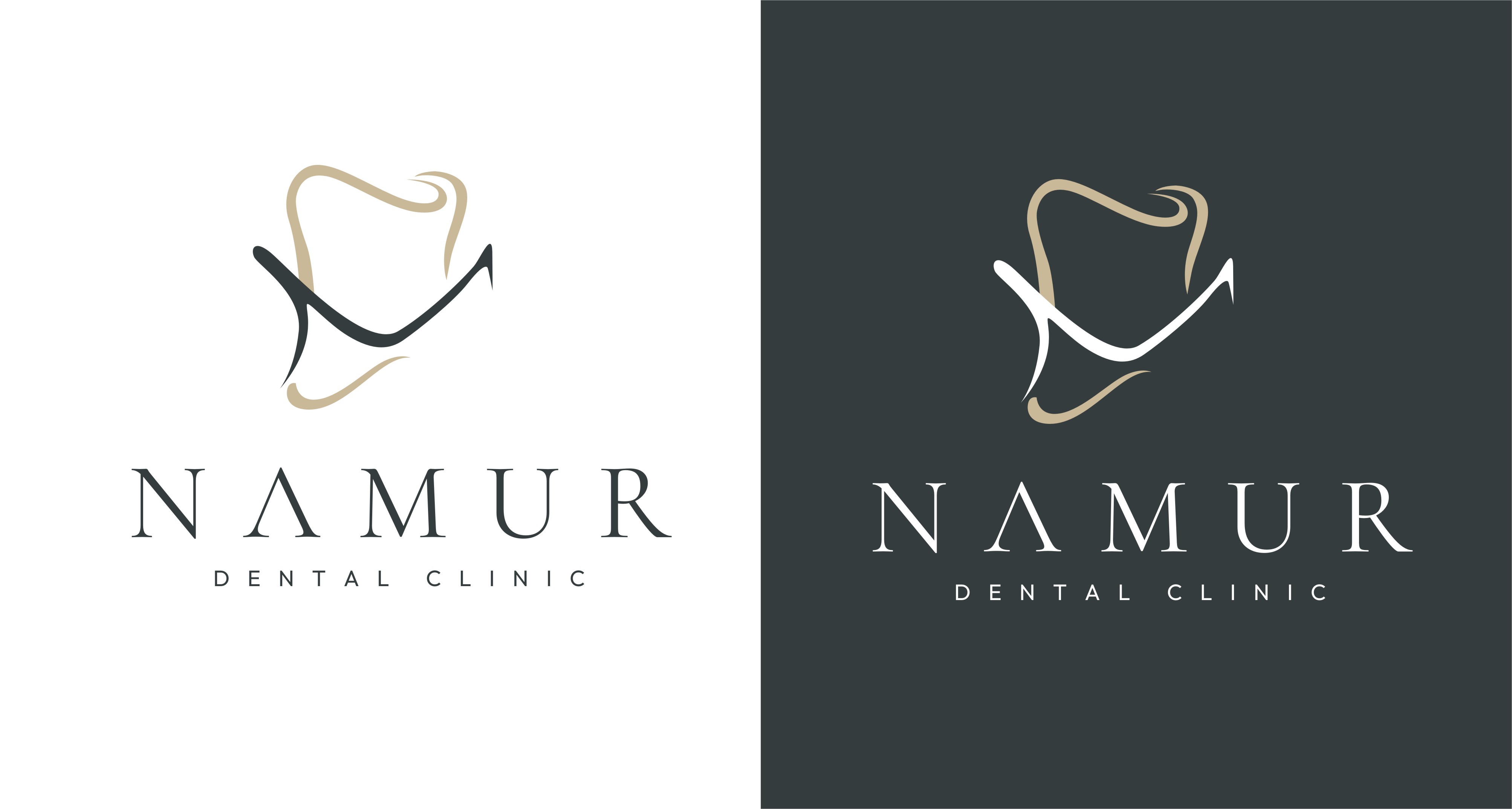 Logo Design by rgb01 for this project | Design #37222499
