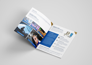 Flyer Design by NZ Creatives for this project | Design: #37211774