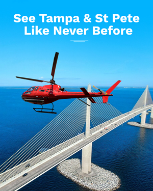 Facebook Design by Blue Sparrow for flyVENTURE, LLC | Design: #37227813