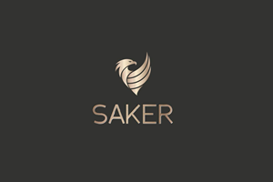 Logo Design by Noura Studio for this project | Design: #37227378